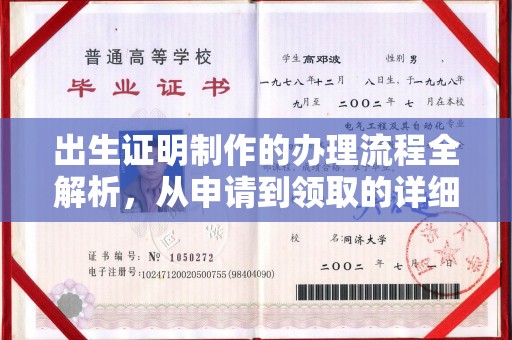 怒江出生证明制作的办理流程全解析，从申请到领取的详细指南